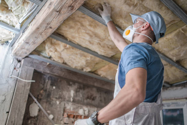 Best Insulation Replacement Services  in Dunn, NC