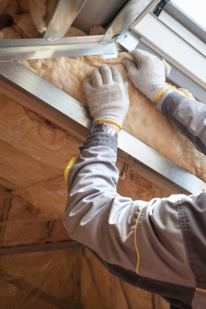 Best Commercial Insulation Contractor  in Dunn, NC