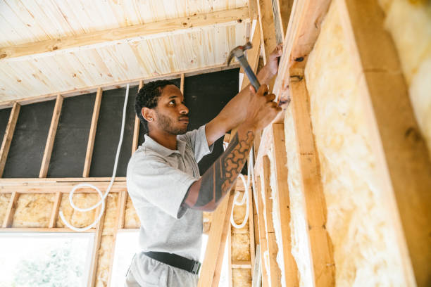 Best Insulation Contractor Near Me  in Dunn, NC