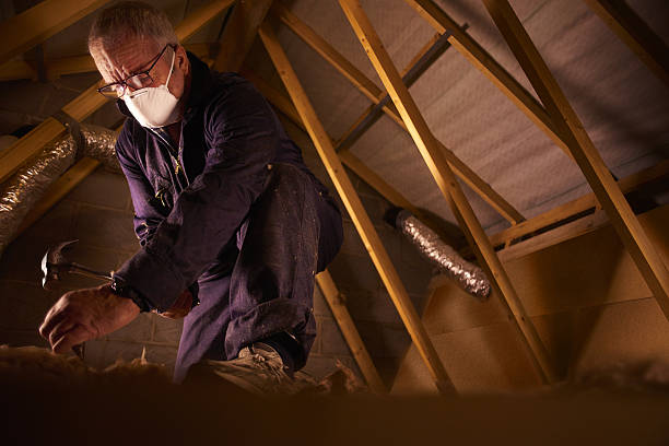 Insulation Inspection Services in Dunn, NC